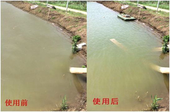 渾濁水、對(duì)蝦吃料差怎么處理？